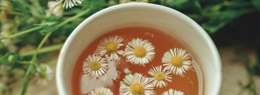 Tetley taps into health trend with new decaf tea for hospitality and retail