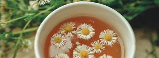 Tetley taps into health trend with new decaf tea for hospitality and retail