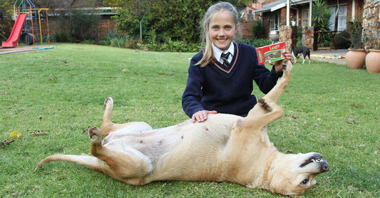 Dogs with Diabetes - the benefits of Laager Green Rooibos Tea