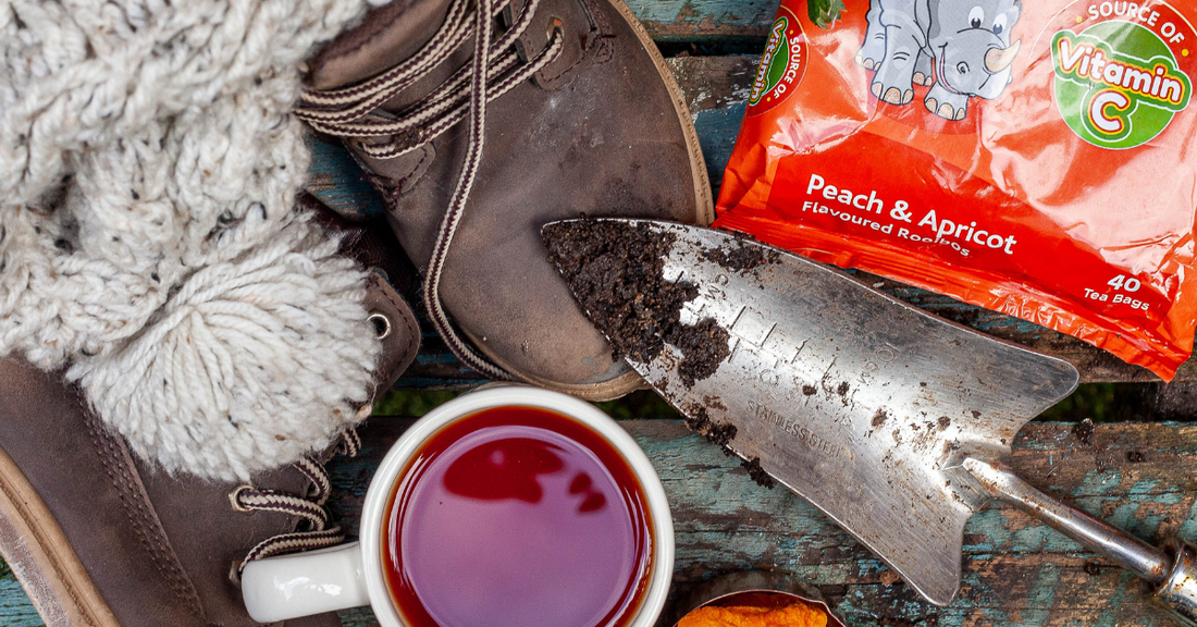 Maximising the Potential of Teabags in Celebration of World Food Day