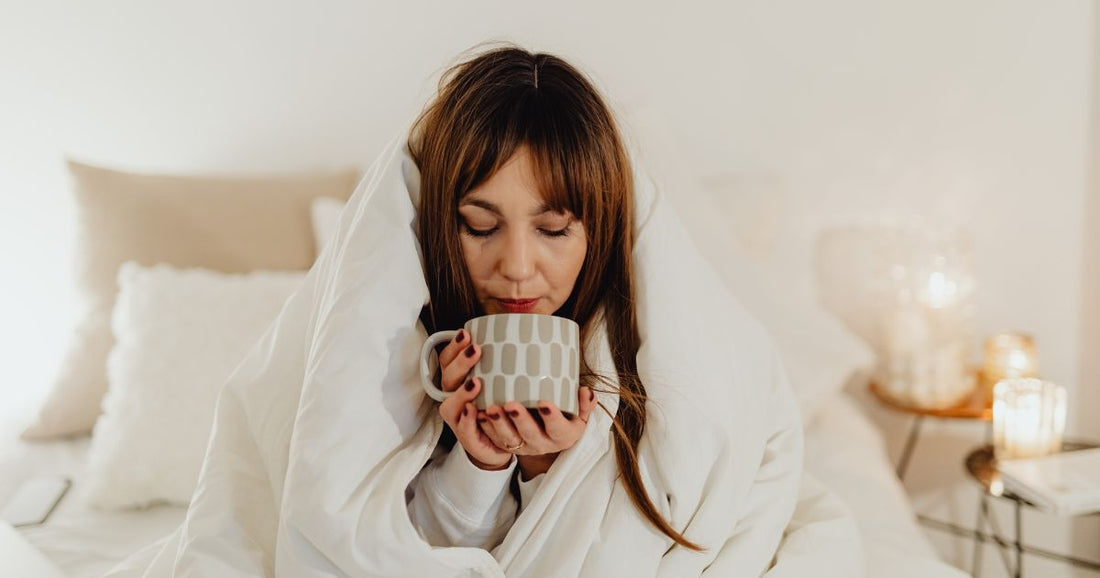 Rooibos Tea: Sleep Soundly Tonight with South Africa’s Favourite Tea