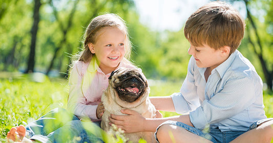 How pets help prevent anxiety in kids