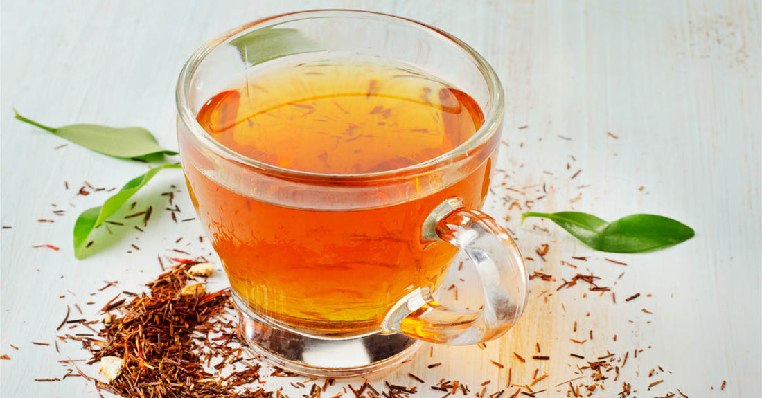 Rooibos to help Prevent disease