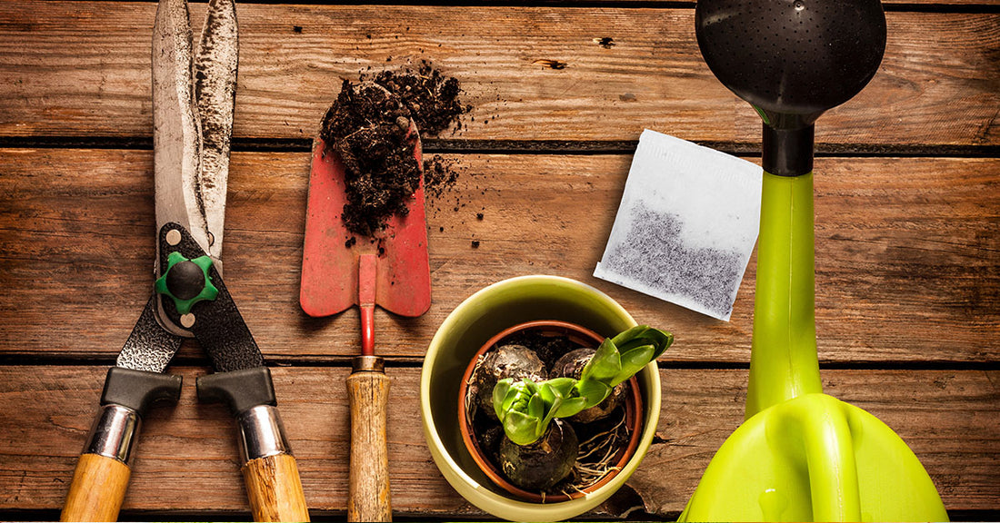 Gardening Gurus Share Why Rooibos Tea Is A Must For The Garden