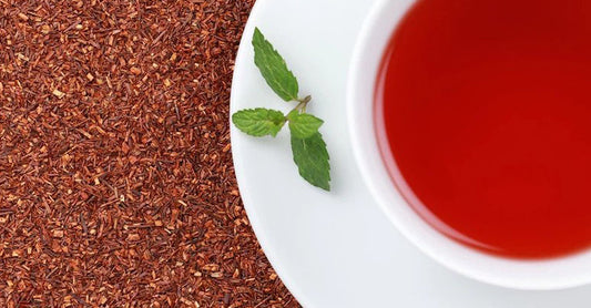 The History of Rooibos Tea in South Africa