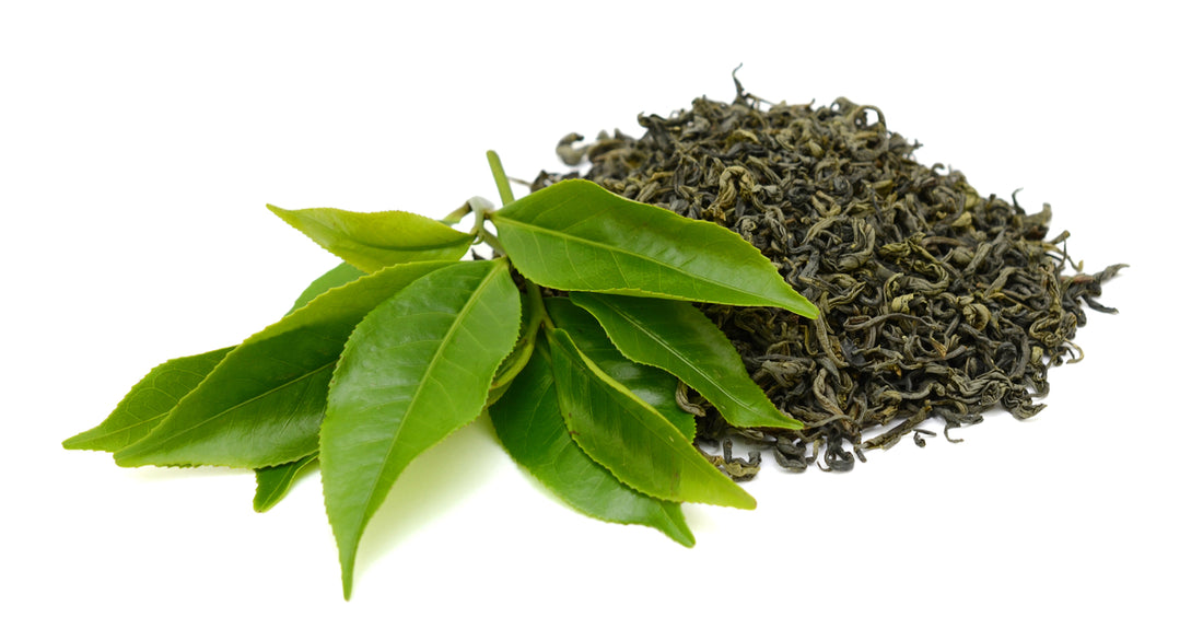 Green Tea Facts