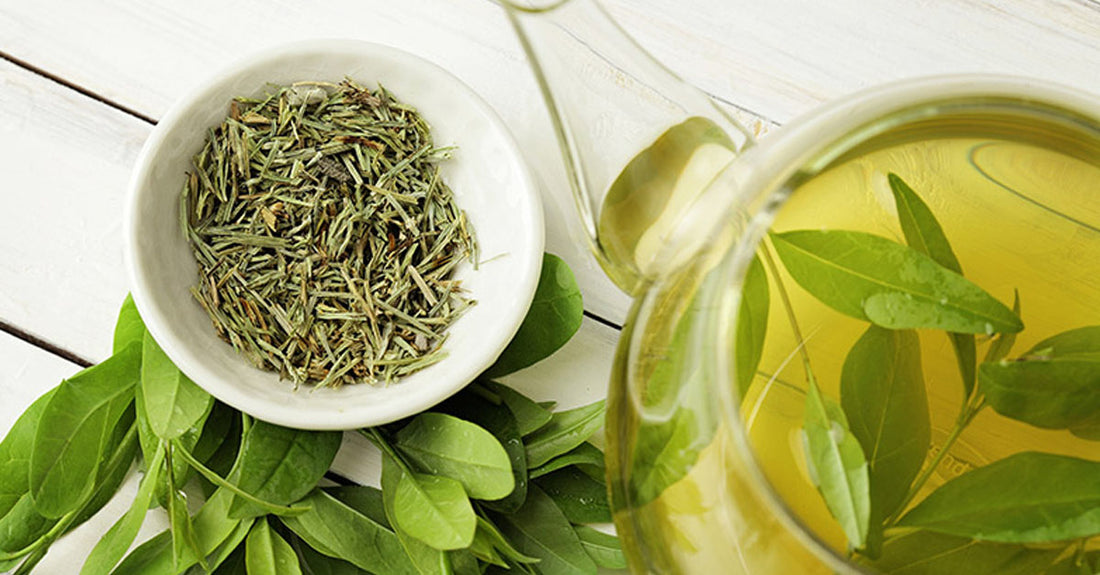 9 Reasons To Drink Green Tea